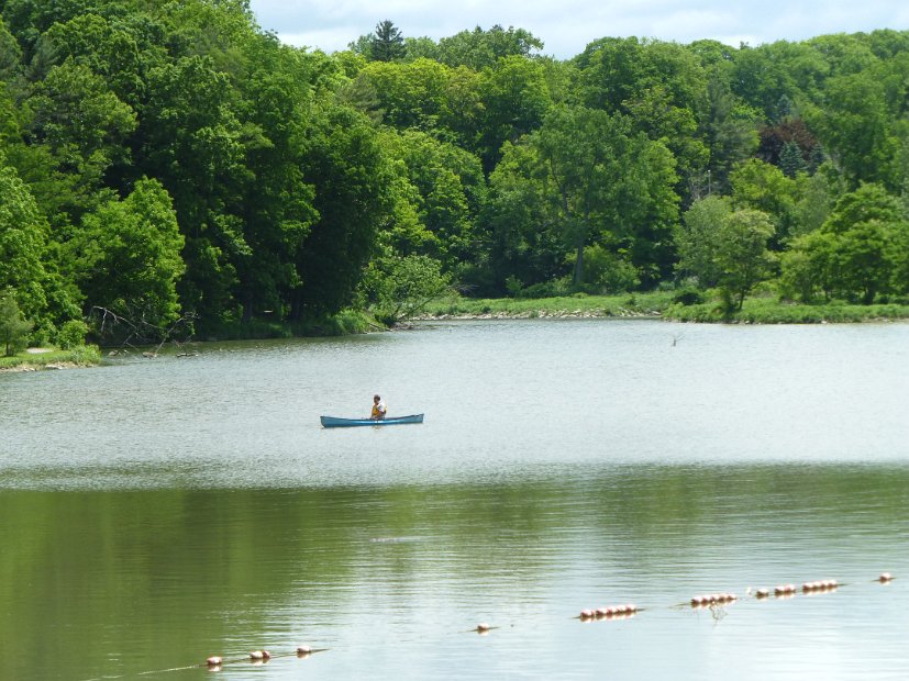 26.2.022 generic-debbie-P1140484.jpg