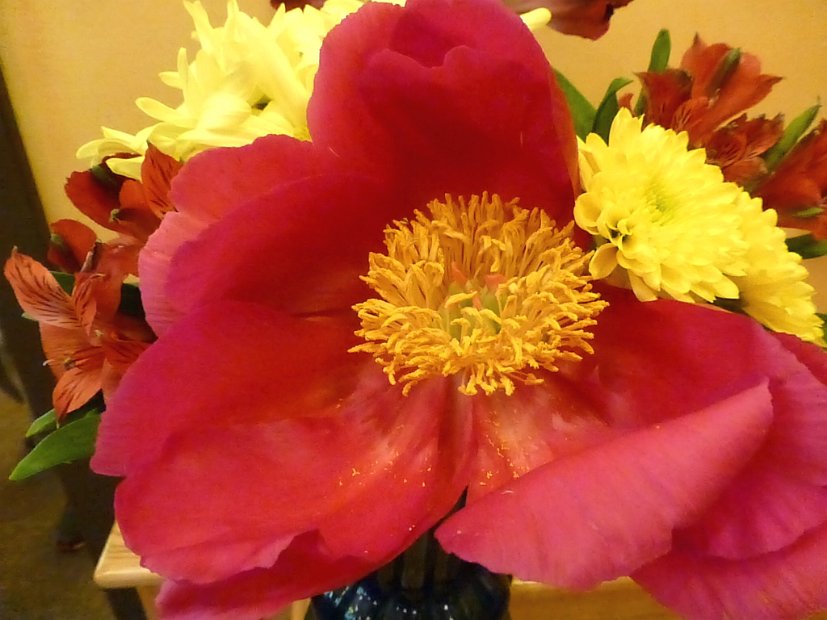 26.2.024 generic-debbie-P1140487.jpg