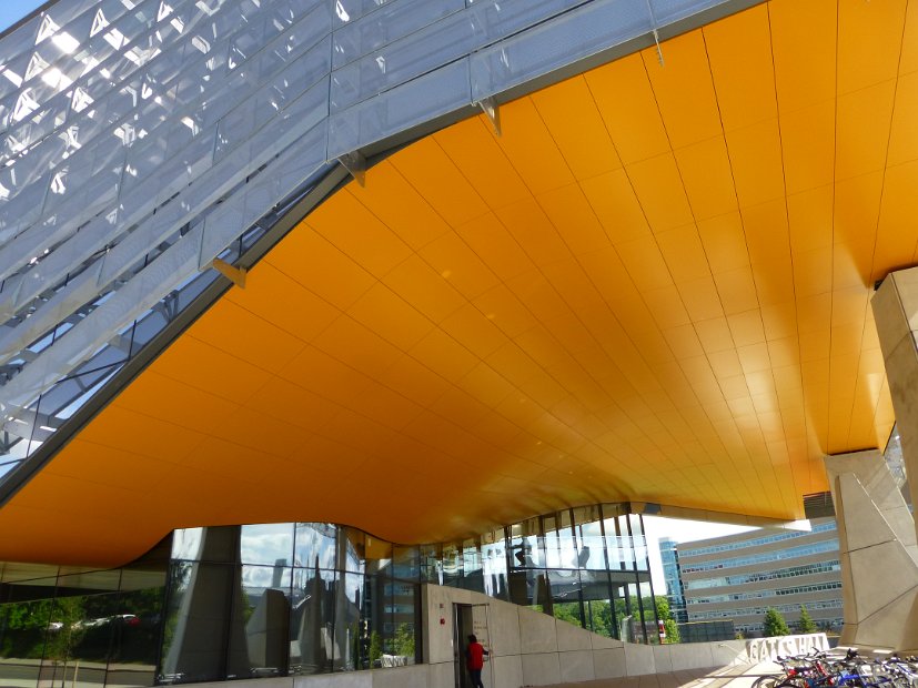 26.2.027 generic-debbie-P1140512.jpg