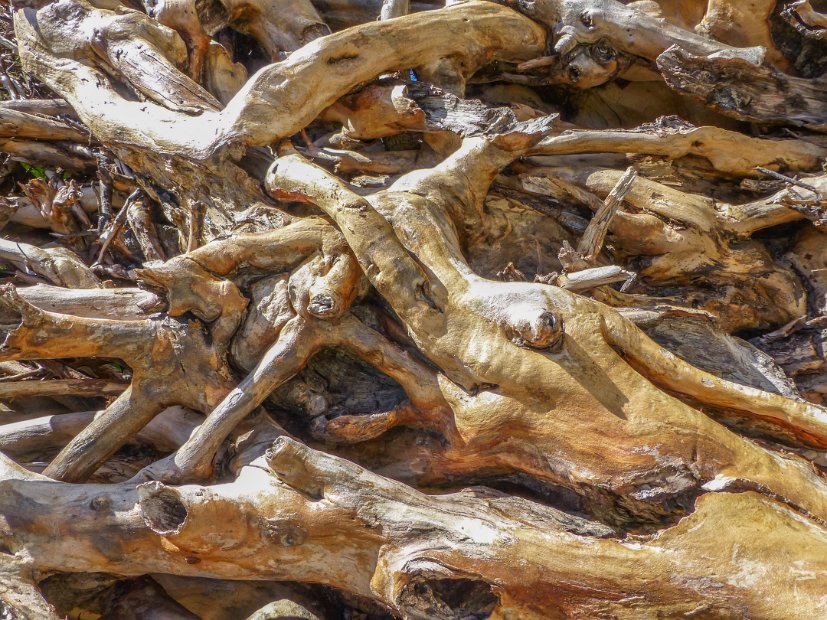 26.2.046 generic-debbie-P1140578.jpg