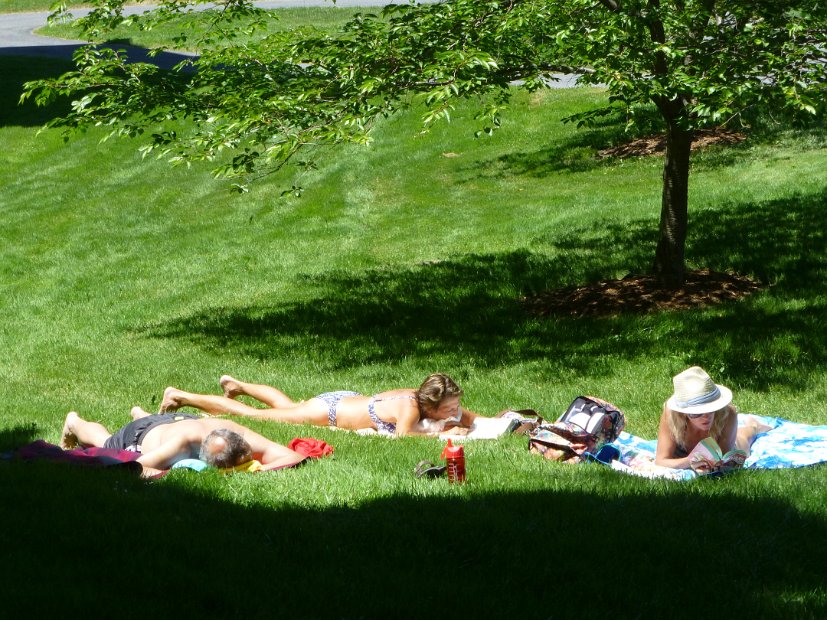 26.2.055 generic-debbie-P1140636.jpg.jpg