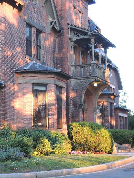 26.2.072 generic-jay-DSCN3833.jpg