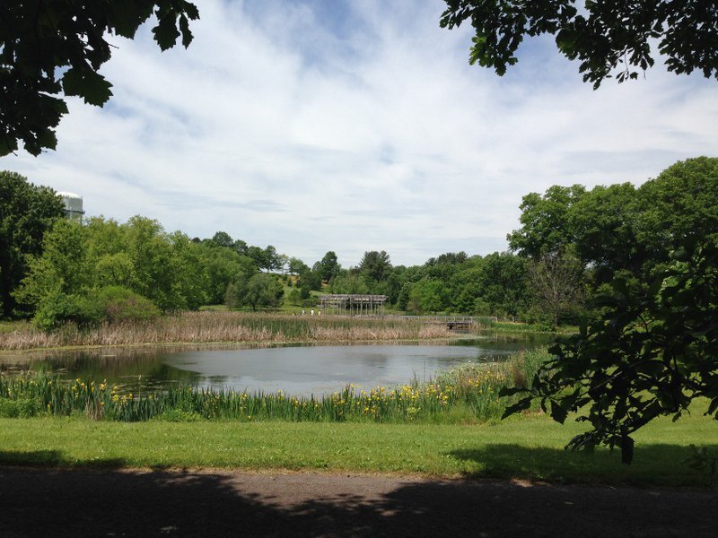 26.2.125 toby_levine-IMG_1022.jpg