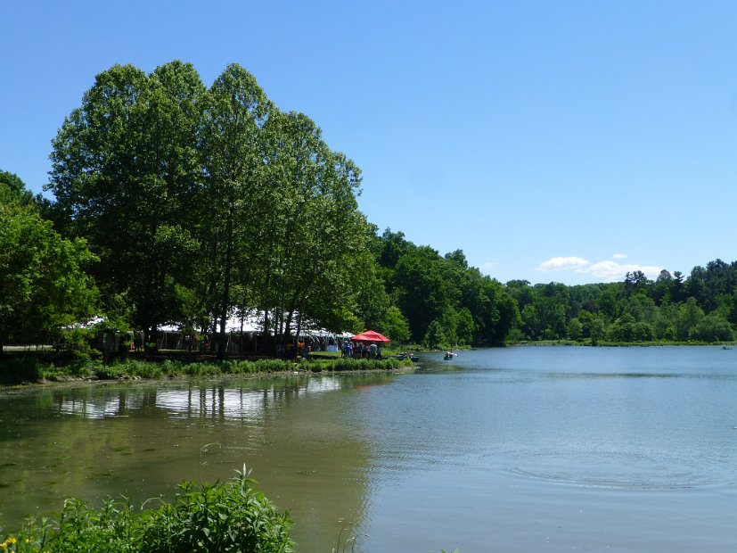 20.1.1 picnic-debbie-P1140598.jpg