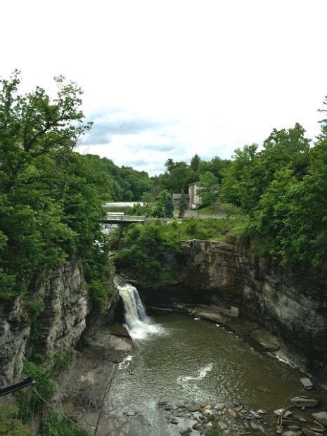 26.2.003 Dave Gerber-IMG_0975.jpg