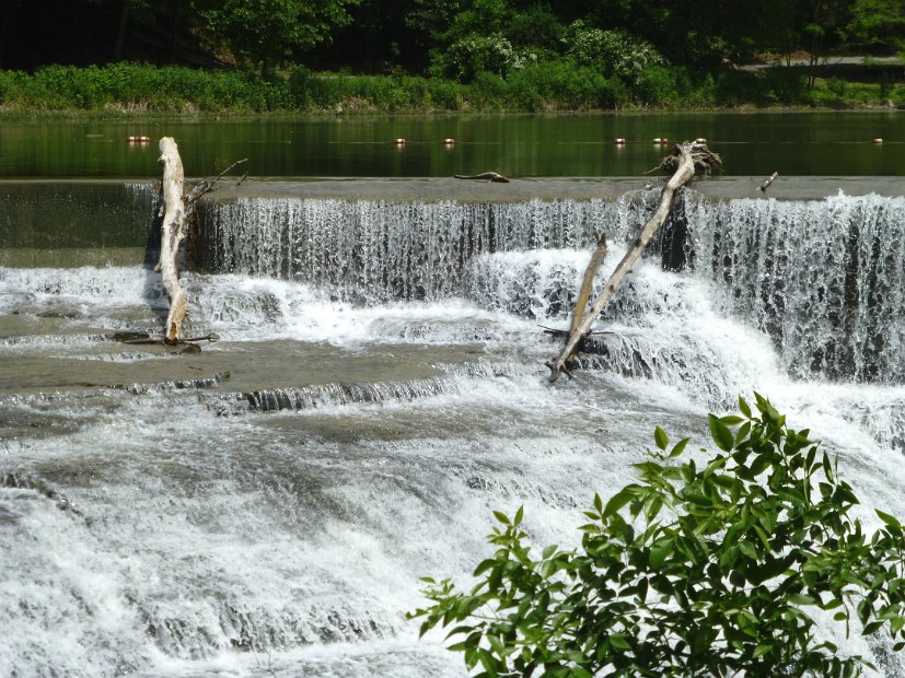 26.2.019 generic-debbie-P1140479.jpg