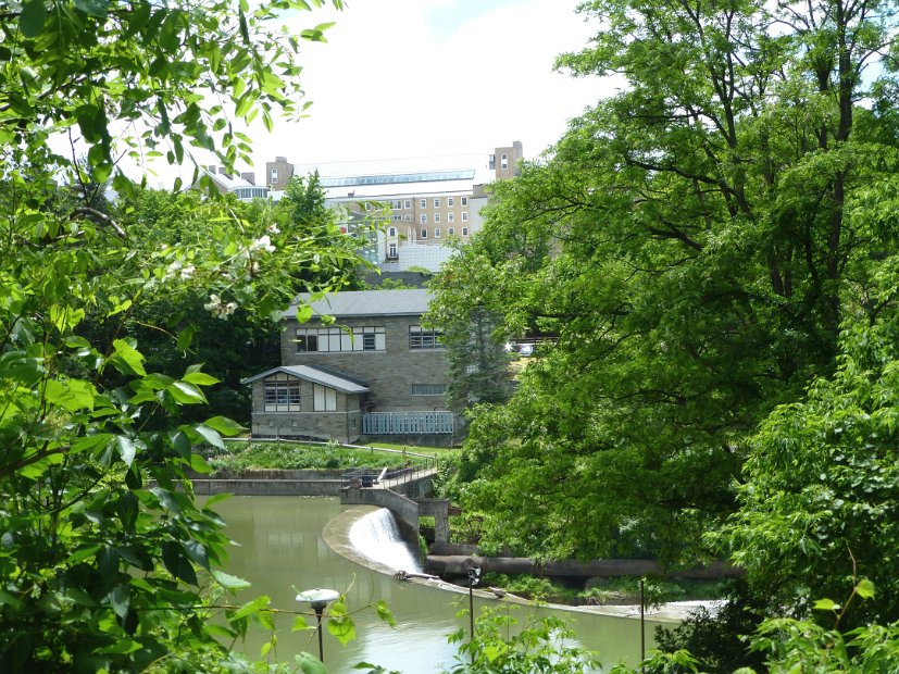 26.2.023 generic-debbie-P1140485.jpg