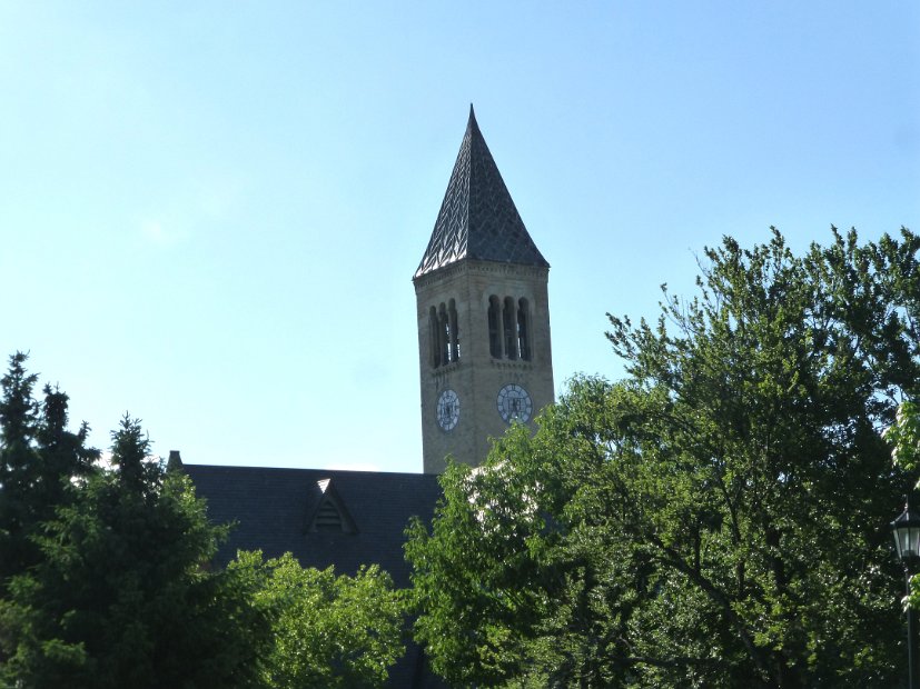 26.2.032 generic-debbie-P1140519.jpg