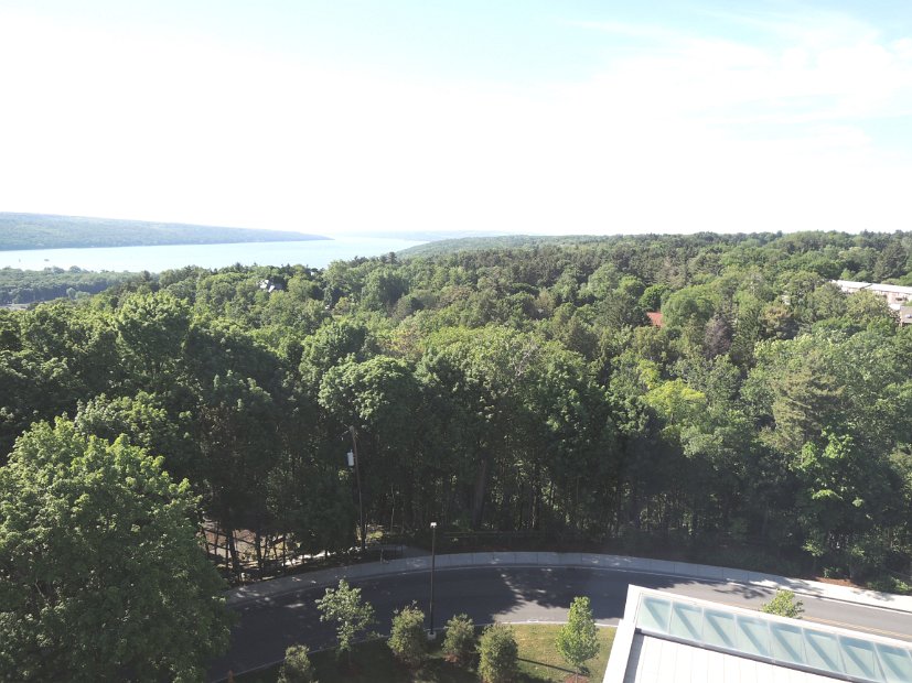 26.2.065 generic-jay-DSCN3821.jpg