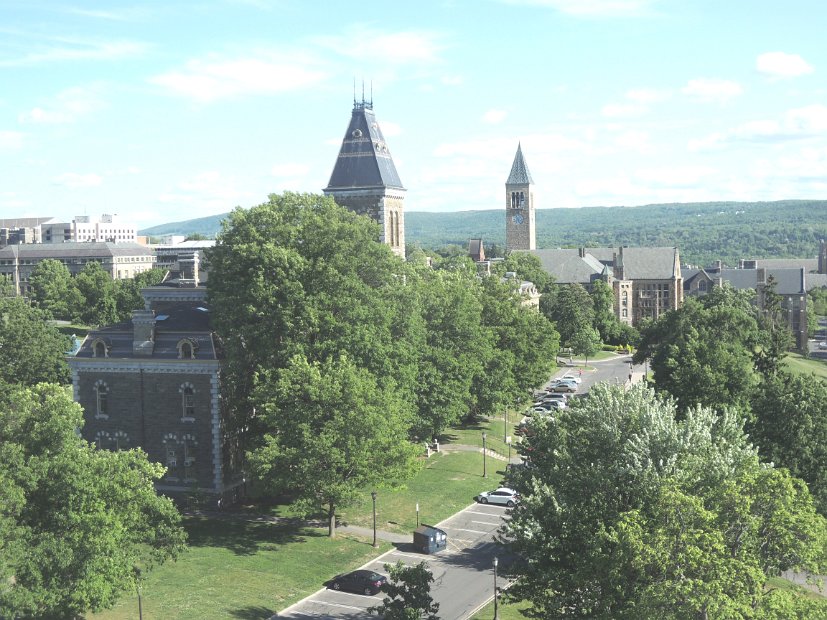 26.2.067 generic-jay-DSCN3826.jpg