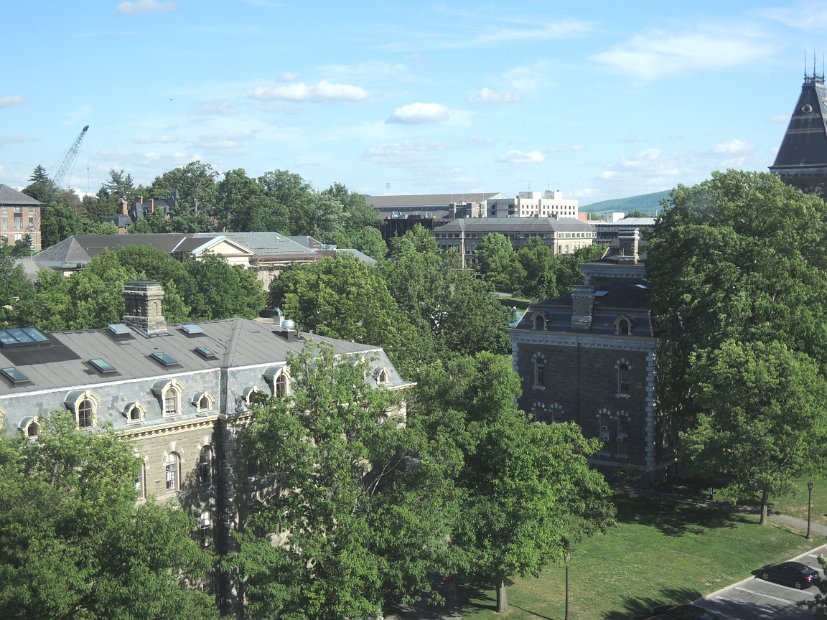 26.2.068 generic-jay-DSCN3827.jpg