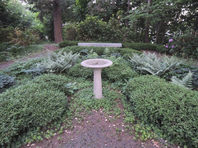 26.2.077 generic-jay-DSCN3844.jpg