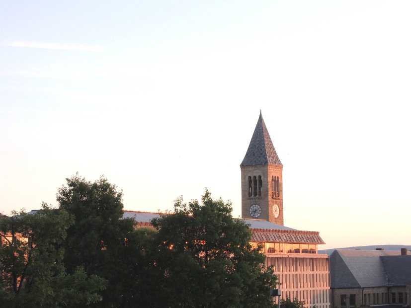 26.2.079 generic-jay-DSCN3850.jpg