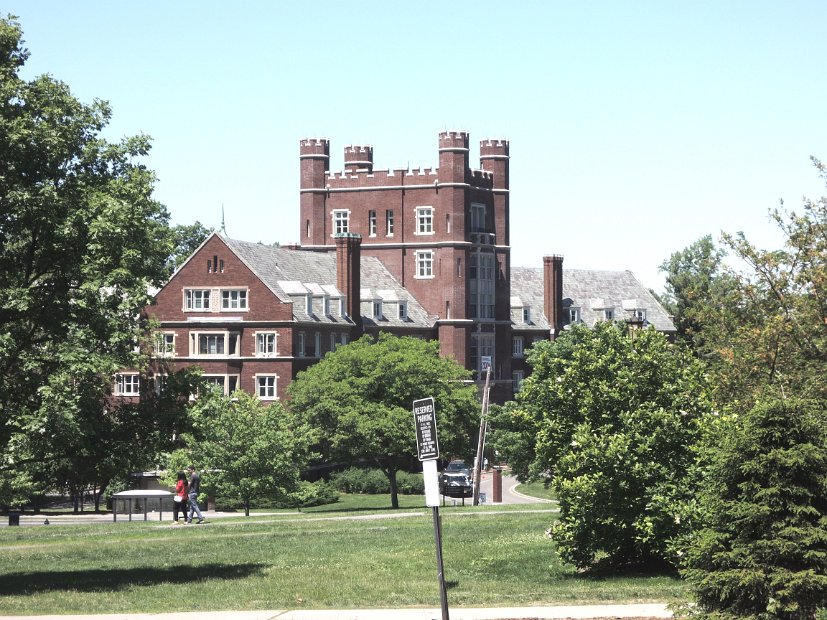 26.2.091 generic-jay-DSCN3872.jpg