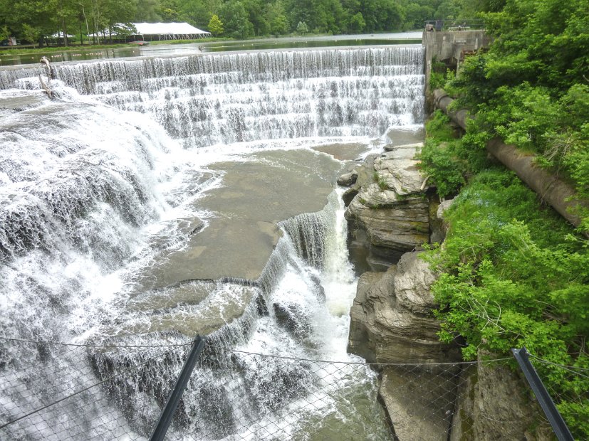26.2.098 Generic-Rick-P1000744.jpg
