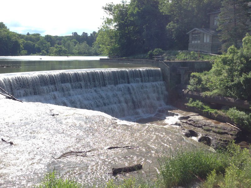 26.2.117 toby_levine-IMG_0977.jpg