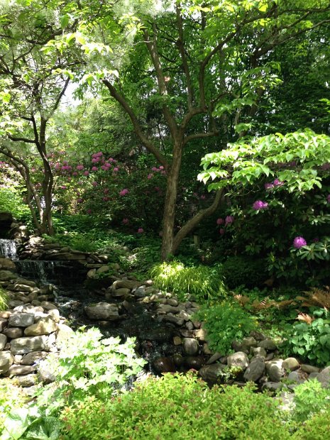 26.2.119 toby_levine-IMG_0983.jpg